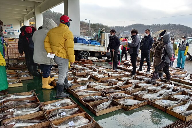 Cod Auction and Clam Auction in Winter - Just The Basics