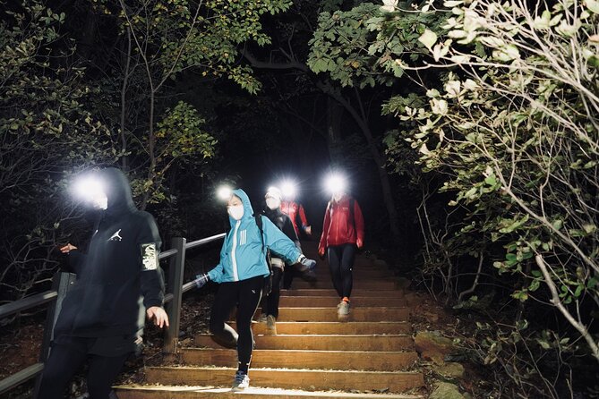 Enjoy the Night View of Busan From Hwangnyeongsan Mountain - Just The Basics