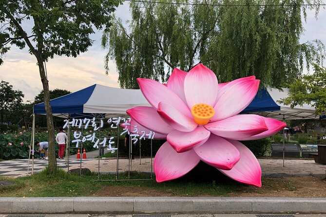 Lotus Festival in Buyeo and Jeonju Hanok Village Tour From Seoul - Just The Basics