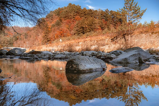 Odaesan National Park Autumn Foliage Tour - Just The Basics