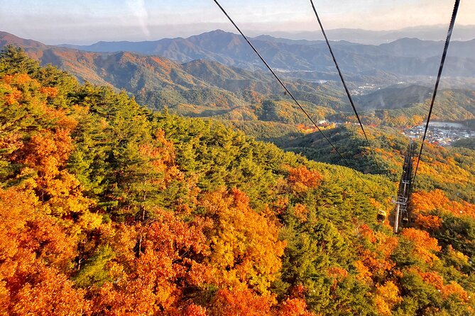 Palgongsan Natural Park Autumn Foliage One Day Tour From Busan - Just The Basics