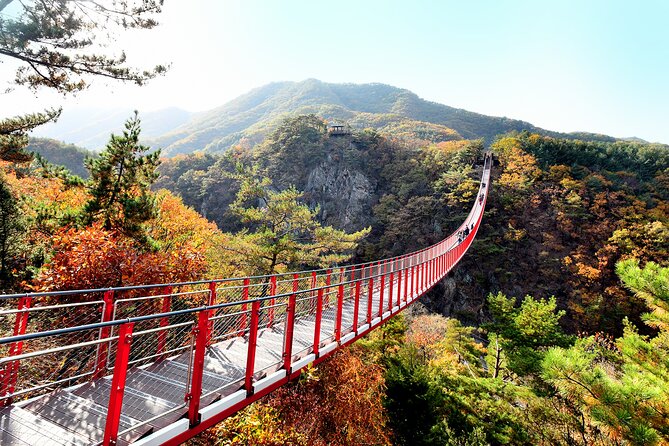 Seoul: South Korea Dmz, Mt. Gamak & Fall Foliage With Lunch - Just The Basics