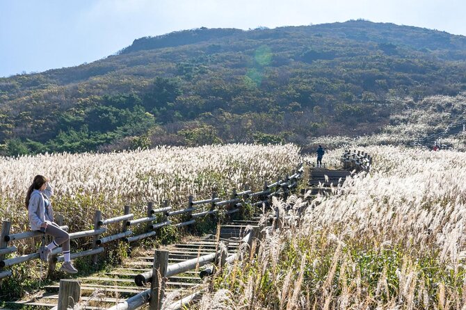 Ulsan Ulju Mountain Film Festival - Just The Basics