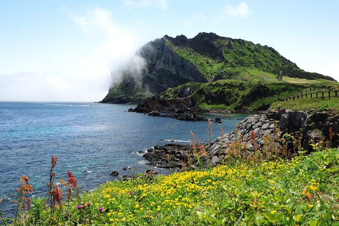 Full-Day Private Tour in Jeju Scenic East Coast