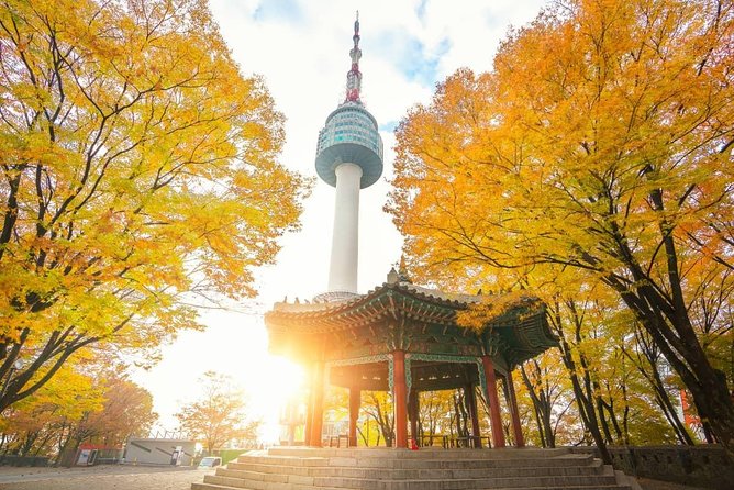 N Seoul Tower Ticket in Seoul