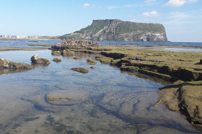 Jeju Private Half-Day Tour - UNESCO SITE Seongsan Illchulbong - Private Tour Itinerary and Schedule