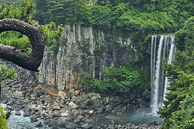 Jeju Private Tour Package-South of Jeju(Mt.Hallasan & Waterfalls) - Inclusions and Exclusions