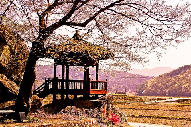 The Beauty of the Korea Cherry Blossom Discover 11days 10nights - Itinerary and Meeting Points