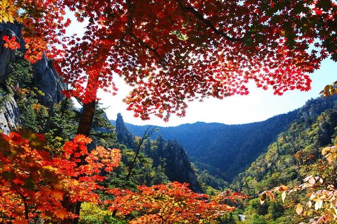 Essential Autumn Foliage of Korea 3 Days With Sorak and Odaesan Mountain - Odaesan Mountains Hidden Gems