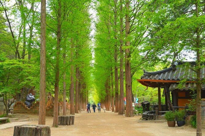 Photo Spot Tour Including Nami Island and 3 More Places - Garden of Morning Calm Delights