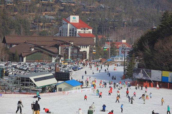 [Premium Private Ski Tour] Pyeongchang Olympic Site (Private Ski Lesson) - Essential Details