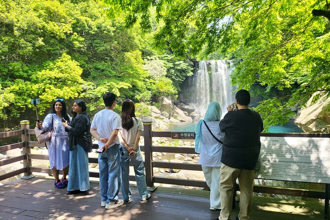 Private Tour Cheonjeyeon Falls & Osulloc Museum in Jeju Island - Important Tour Information