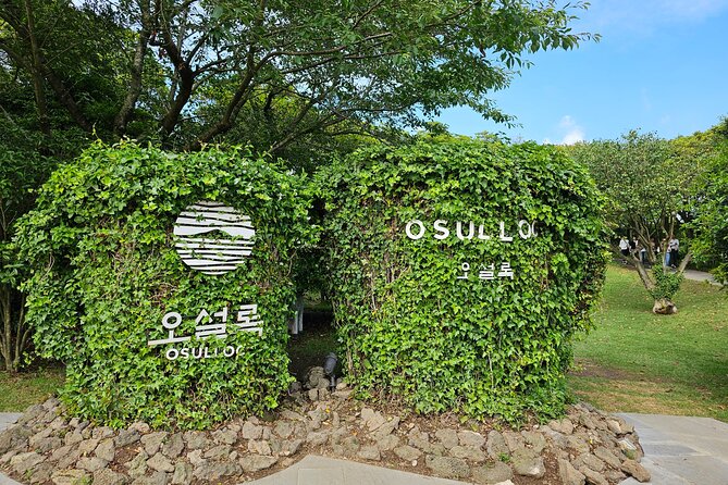 Small Group Private Day Tour - South of Jeju Island - Cancellation and Refund Policy