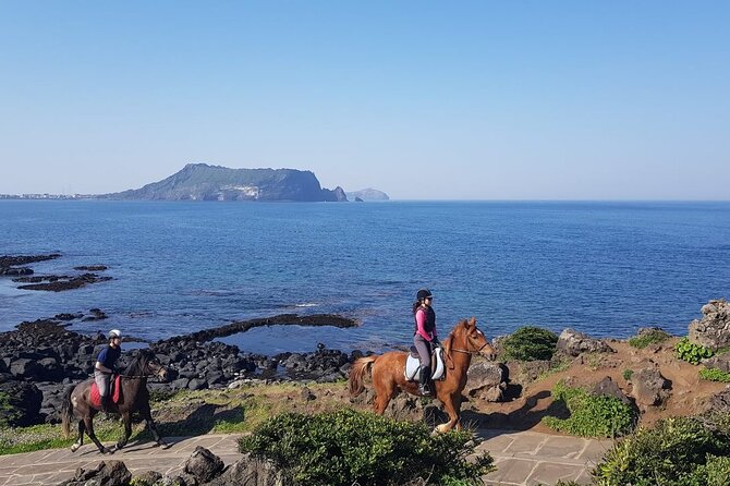 2-Day Tour to Jeju Island by Limousine Taxi - Cancellation and Refund Policy