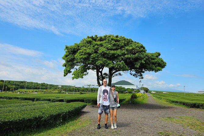 Jeju Private Tour Package-South of Jeju(Mt.Hallasan & Waterfalls) - Mt. Hallasan and Waterfalls Exploration