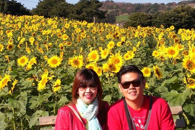 Jeju Taxi Tour - Couple Package (East & South or West & South) - Experience and Tour Reviews