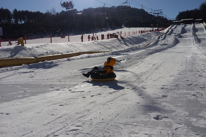 [Premium Private Ski Tour] Pyeongchang Olympic Site (Private Ski Lesson) - Schedule and Logistics