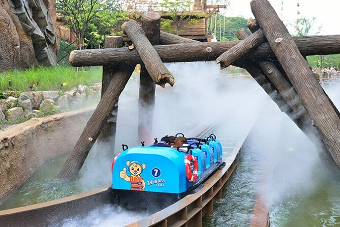 Private Everland Theme Park Tour - Tour Inclusions and Fees