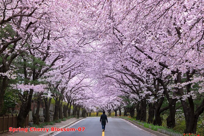 The Beauty of the Korea Cherry Blossom Discover 11days 10nights - Meal Plan and Inclusions