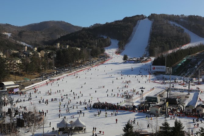 [Premium Private Ski Tour] Pyeongchang Olympic Site (Private Ski Lesson) - Pricing and Policies