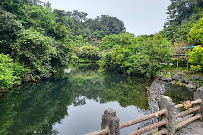 Private Tour Mountain Hallasan Hiking Course in Jeju Island - What to Expect on Your Tour