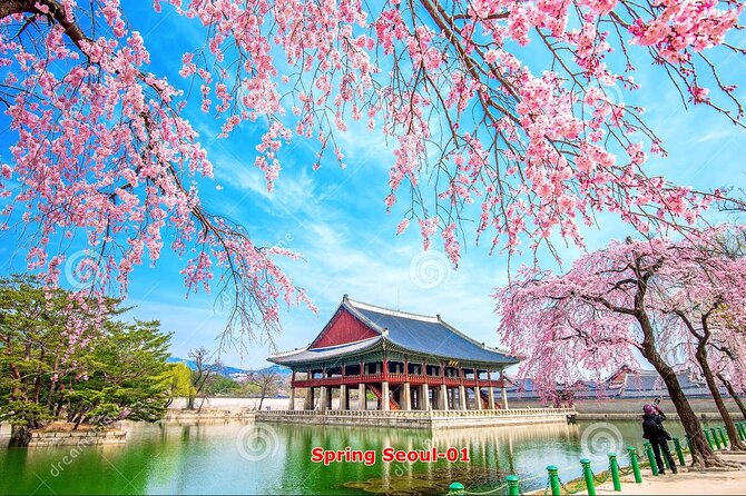 The Beauty of the Korea Cherry Blossom Discover 11days 10nights - Korea Cherry Blossom Experience