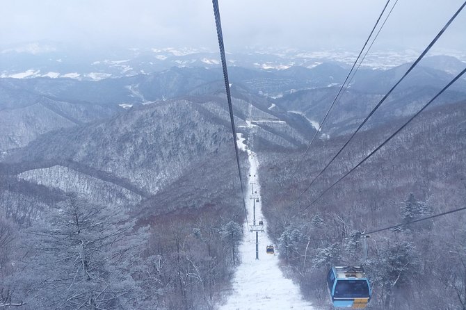 [Premium Private Ski Tour] Pyeongchang Olympic Site (Private Ski Lesson) - Book With Confidence