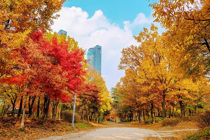 Full-Day Seoul Autumn Foliage Private Guided Tour - Just The Basics