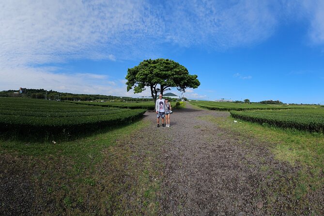 Small Group Private Day Tour - South of Jeju Island - Just The Basics